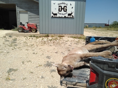 Large West Texas Hunting Ranch for Sale with lodging - image 10