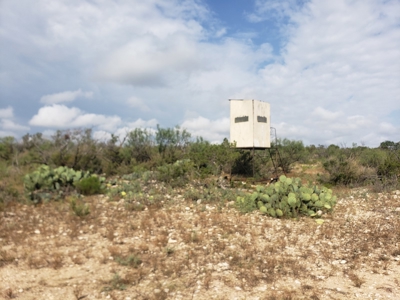 Large West Texas Hunting Ranch for Sale with lodging - image 35