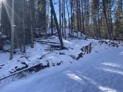 Improved Mountain Land for Auction in Colorado - image 4
