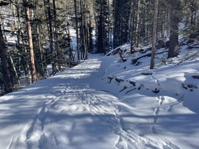 Improved Mountain Land for Auction in Colorado - image 5