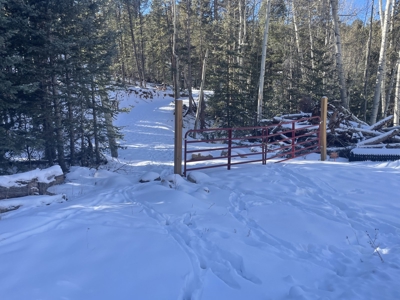 Improved Mountain Land for Auction in Colorado - image 1