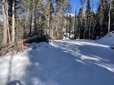 Improved Mountain Land for Auction in Colorado - image 8