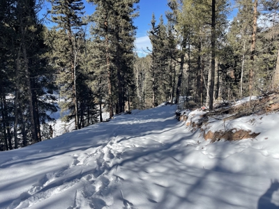 Improved Mountain Land for Auction in Colorado - image 6