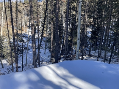 Improved Mountain Land for Auction in Colorado - image 12