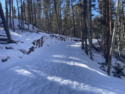 Improved Mountain Land for Auction in Colorado - image 3