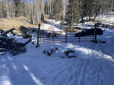 Improved Mountain Land for Auction in Colorado - image 2