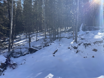 Improved Mountain Land for Auction in Colorado - image 9