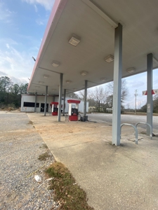 C Store Building & Land/Wilcox Co Alabama - image 5