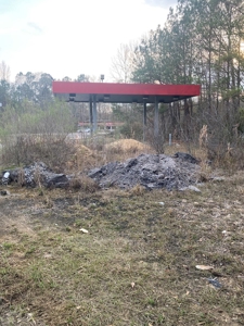C Store Building & Land/Wilcox Co Alabama - image 14