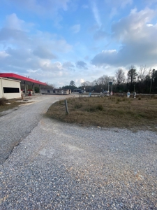 C Store Building & Land/Wilcox Co Alabama - image 10