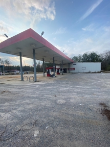C Store Building & Land/Wilcox Co Alabama - image 8