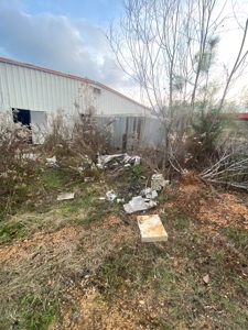 C Store Building & Land/Wilcox Co Alabama - image 17