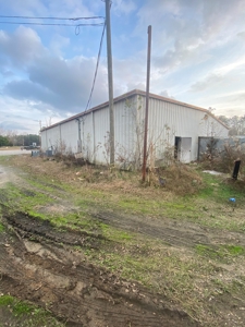 C Store Building & Land/Wilcox Co Alabama - image 18