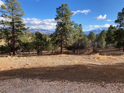 Lot For Sale, Easy Access Town, Log Hill, Ridgway, Colorado - image 5