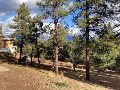 Lot For Sale, Easy Access Town, Log Hill, Ridgway, Colorado - image 9