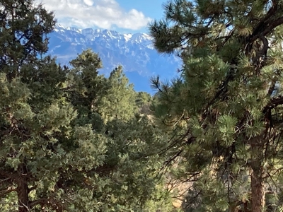 Lot For Sale, Easy Access Town, Log Hill, Ridgway, Colorado - image 1