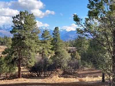 Lot For Sale, Easy Access Town, Log Hill, Ridgway, Colorado - image 4