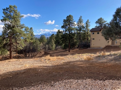 Lot For Sale, Easy Access Town, Log Hill, Ridgway, Colorado - image 6