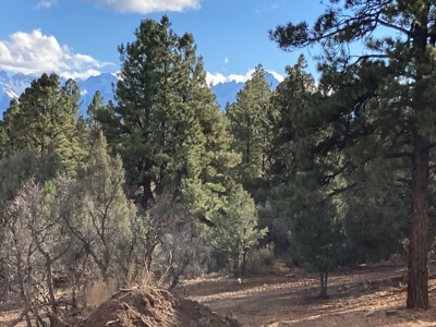 Lot For Sale, Easy Access Town, Log Hill, Ridgway, Colorado - image 8