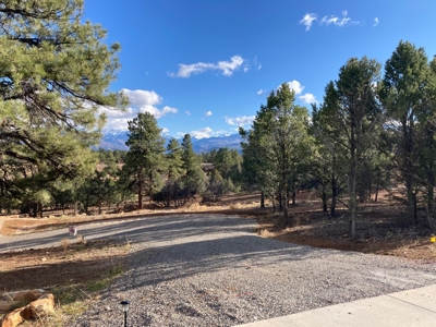 Lot For Sale, Easy Access Town, Log Hill, Ridgway, Colorado - image 3