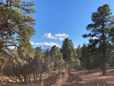 Lot For Sale, Easy Access Town, Log Hill, Ridgway, Colorado - image 10