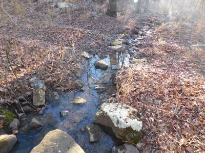 Cabin on 10 Wooded Acres For Sale Near Little Buffalo River - image 12