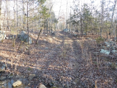 Cabin on 10 Wooded Acres For Sale Near Little Buffalo River - image 11