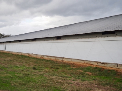 Poultry farm 5 house broiler 40 acres - image 18
