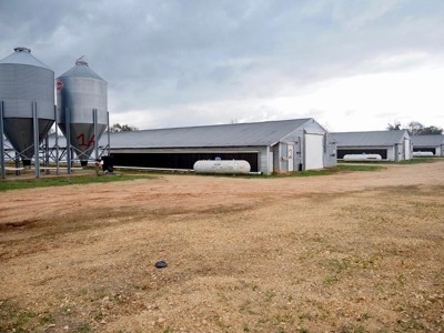 Poultry farm 5 house broiler 40 acres - image 1