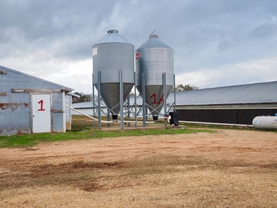 Poultry farm 5 house broiler 40 acres - image 7