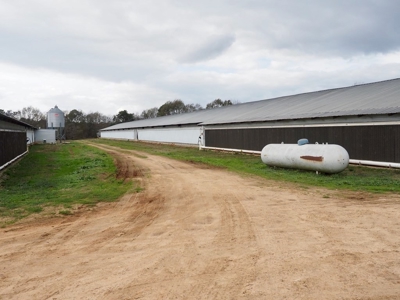 Poultry farm 5 house broiler 40 acres - image 22