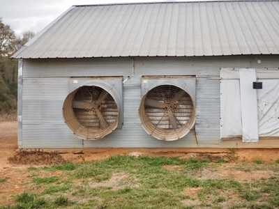 Poultry farm 5 house broiler 40 acres - image 21