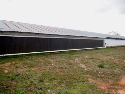 Poultry farm 5 house broiler 40 acres - image 17