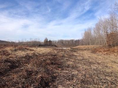 Hunting Land For Sale - image 28
