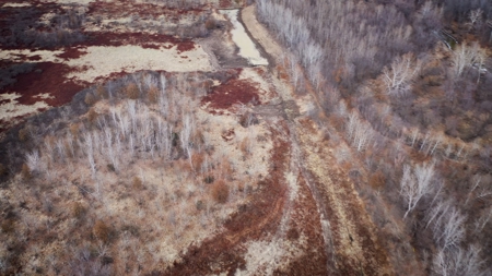 Hunting Land For Sale - image 7