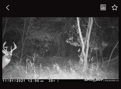 Hunting Land For Sale - image 20
