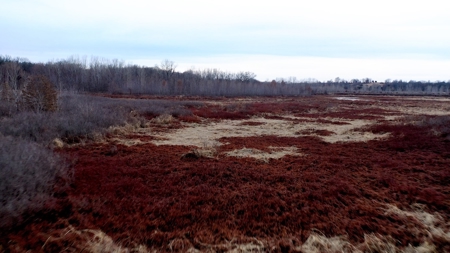 Hunting Land For Sale - image 9