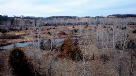 Hunting Land For Sale - image 11