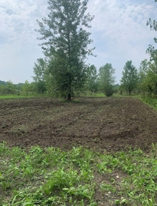 Hunting Land For Sale - image 24