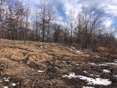 Hunting Land For Sale - image 27