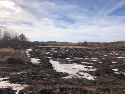 Hunting Land For Sale - image 29