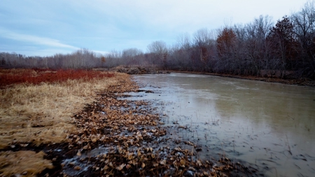 Hunting Land For Sale - image 13