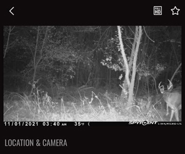 Hunting Land For Sale - image 21