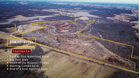 Hunting Land For Sale - image 1