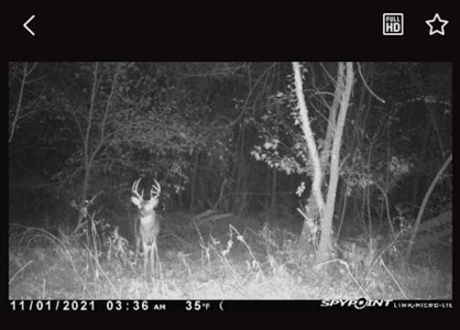 Hunting Land For Sale - image 22