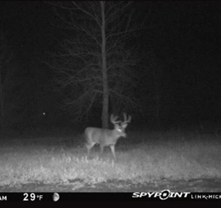 Hunting Land For Sale - image 17