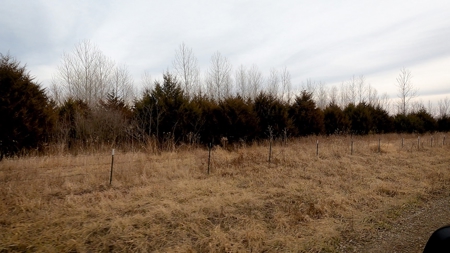 Hunting Land For Sale - image 14