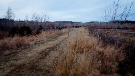 Hunting Land For Sale - image 12