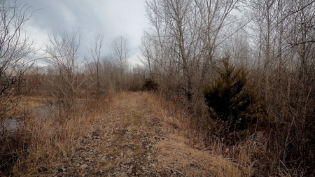 Hunting Land For Sale - image 15