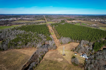 Acreage with Mature Pines For Sale - Cabarrus County NC - image 13